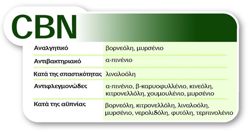 Κατανοώντας την ιατρική χρήση της κάνναβης