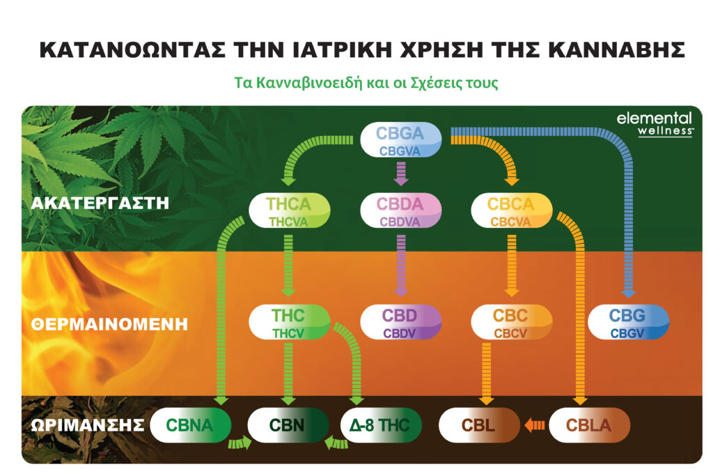 Κατανοώντας την ιατρική χρήση της κάνναβης