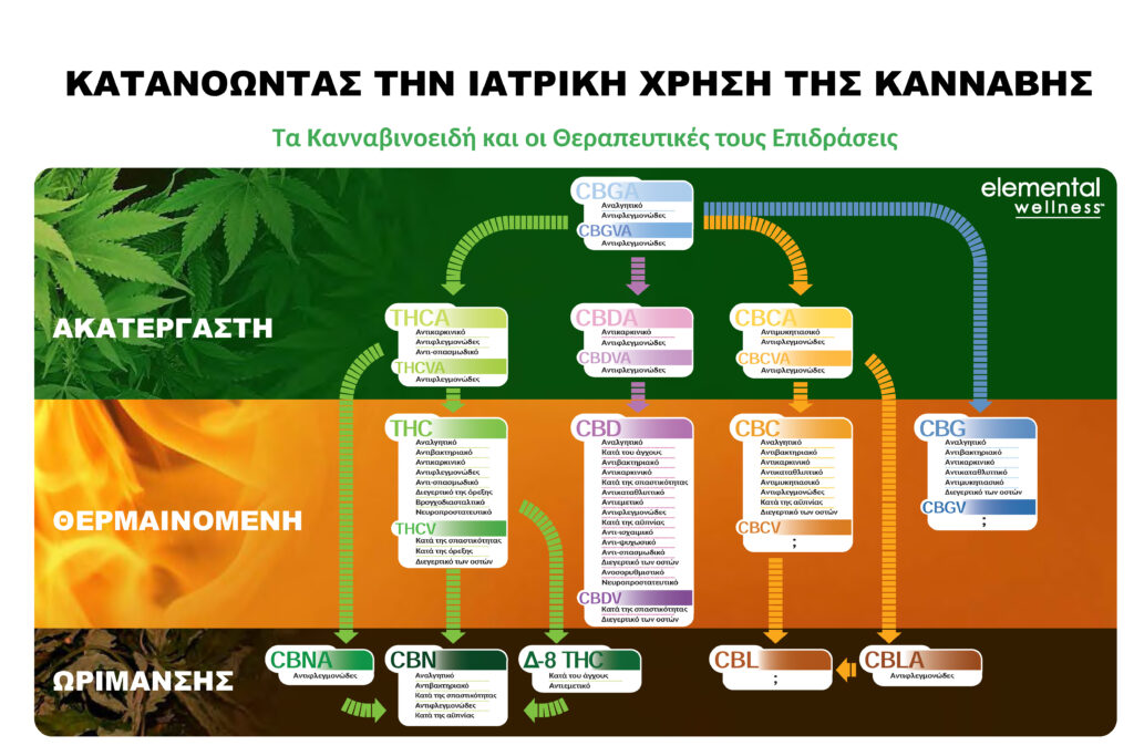 Κατανοώντας την ιατρική χρήση της κάνναβης