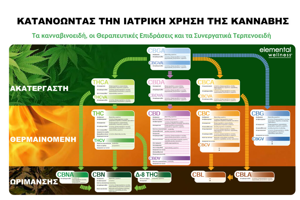 Κατανοώντας την ιατρική χρήση της κάνναβης
