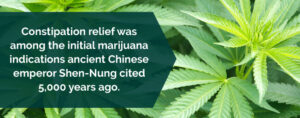 Η ιατρική χρήση της κάνναβης για την Δυσκοιλιότητα