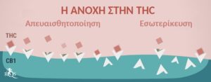 Μπορεί η συχνή λήψη CBD να προκαλέσει ανοχή;