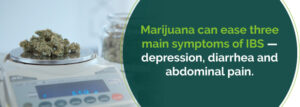 Η ιατρική χρήση της κάνναβης για το Σύνδρομο Ευερέθιστου Εντέρου (ΣΕΕ)