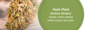 Η ιατρική χρήση της κάνναβης για την Κολίτιδα