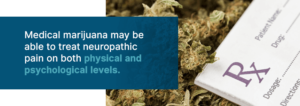 Η ιατρική χρήση της Κάνναβης και ο Νευροπαθητικός Πόνος