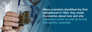 Η ιατρική χρήση της Κάνναβης και η Μυελομαλάκυνση