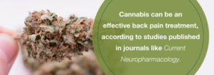 Η ιατρική χρήση της Κάνναβης και οι Δισκοκήλες