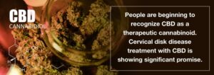 Η ιατρική χρήση της Κάνναβης και η Πάθηση Αυχενικών Μεσοσπονδύλιων Δίσκων