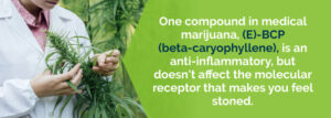 Η ιατρική χρήση της Κάνναβης και η Χρόνια Φλεγμονώδης Απομυελινωτική Πολυνευροπάθεια