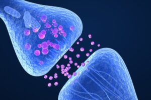 Πως λειτουργεί η CBD