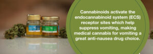 Η ιατρική χρήση της κάνναβης για τον Έμετο