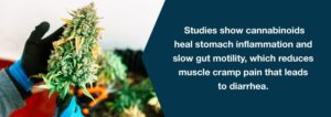 Η ιατρική χρήση της κάνναβης για την Οξεία Γαστρίτιδα