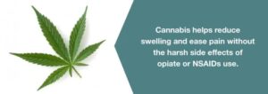 Η Ιατρική χρήση της Κάνναβης και η Μετατραυματική Αρθρίτιδα