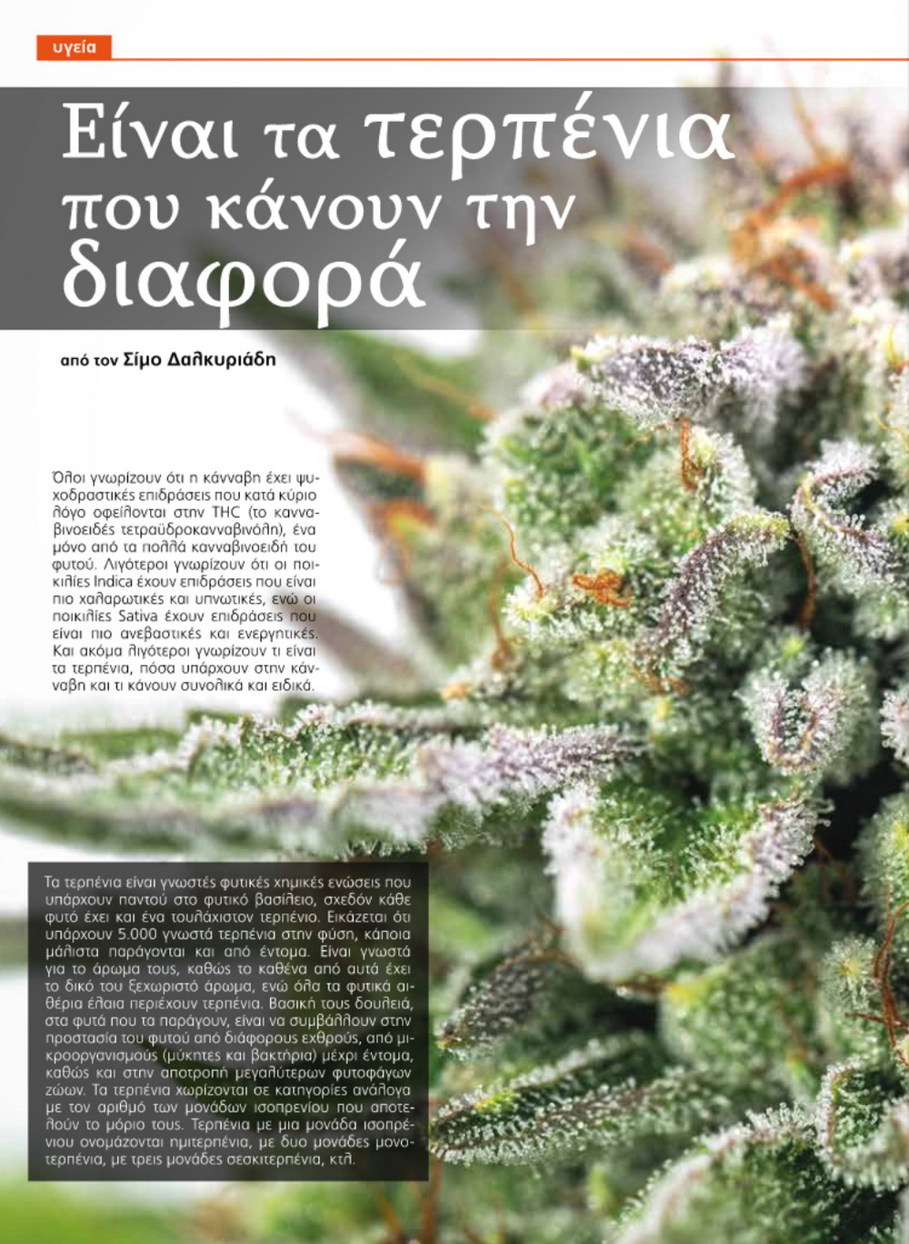 Είναι τα τερπένια που κάνουν την διαφορά