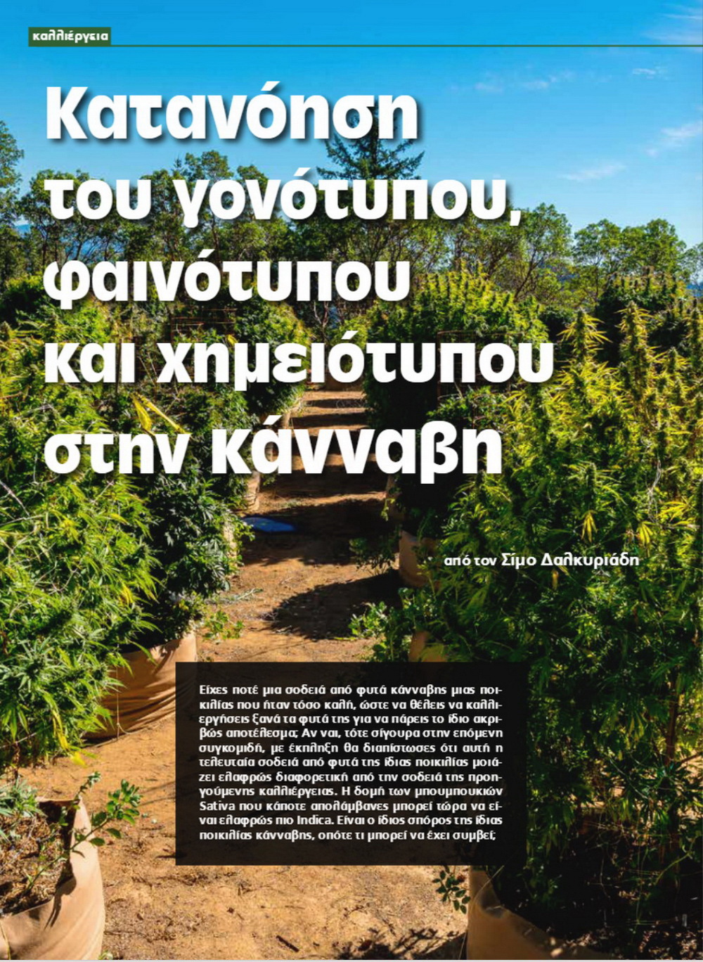 Κατανόηση του γονότυπου, του φαινότυπου και του χημειότυπου στην κάνναβη