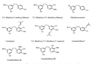 Secondary metabolism in cannabis [Δευτερογενής μεταβολισμός στην κάνναβη]