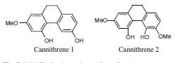 Secondary metabolism in cannabis [Δευτερογενής μεταβολισμός στην κάνναβη]