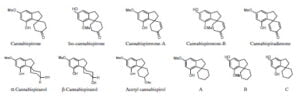 Secondary metabolism in cannabis [Δευτερογενής μεταβολισμός στην κάνναβη]