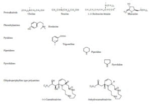 Secondary metabolism in cannabis [Δευτερογενής μεταβολισμός στην κάνναβη]