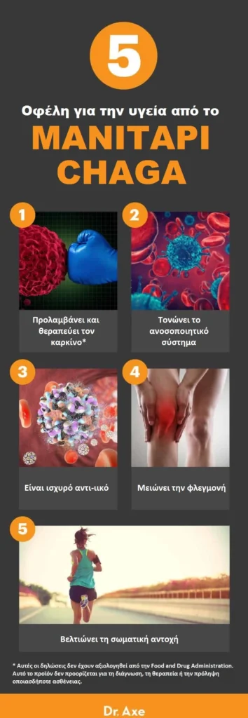 Το μανιτάρι Chaga: Τα 5 οφέλη από αυτό το περίεργο μανιτάρι