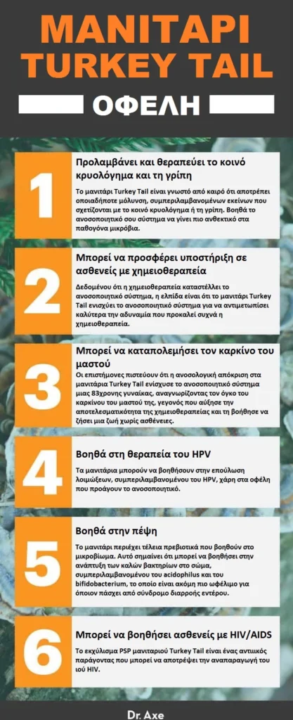 Το μανιτάρι Turkey Tail: Ο μύκητας που καταπολεμά τις ασθένειες, τονώνει το ανοσοποιητικό