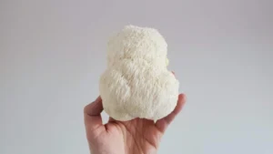 Το μανιτάρι Lion’s Mane: Ένας περιεκτικός οδηγός για τα οφέλη και τις χρήσεις του