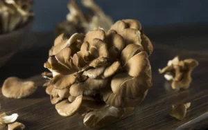 Οφέλη για την υγεία από το Maitake: Τι πρέπει να γνωρίζετε για αυτό το φαρμακευτικό μανιτάρι