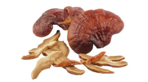 Το μανιτάρι Reishi: Ο απόλυτος οδηγός για το Ganoderma Lucidum