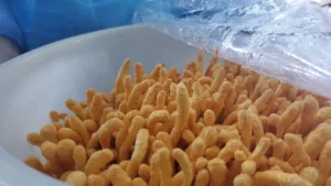 Τι είναι τα μανιτάρια Cordyceps; Αυτός ο οδηγός τα λέει όλα!