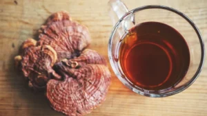Το μανιτάρι Reishi: Ο απόλυτος οδηγός για το Ganoderma Lucidum