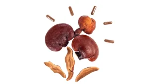 Το μανιτάρι Reishi: Ο απόλυτος οδηγός για το Ganoderma Lucidum
