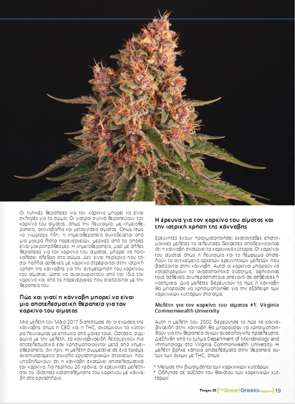 Κάνναβη vs. Καρκίνος του Αίματος