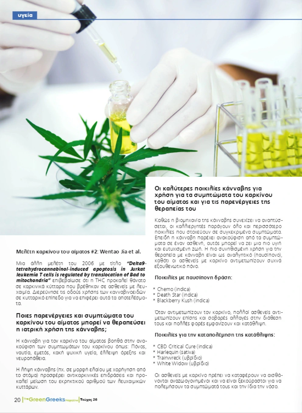 Κάνναβη vs. Καρκίνος του Αίματος
