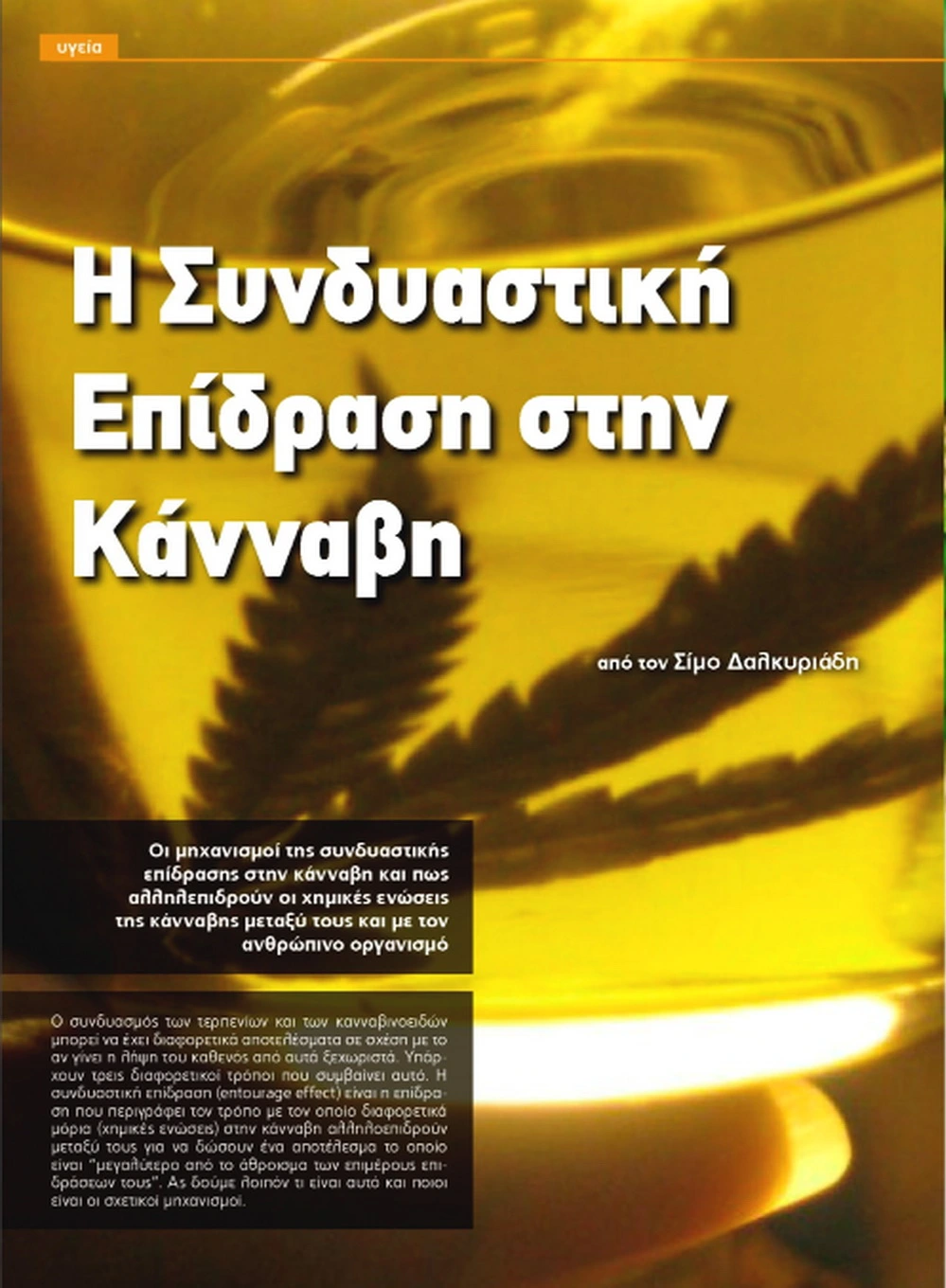 Η Συνδυαστική Επίδραση στην Κάνναβη