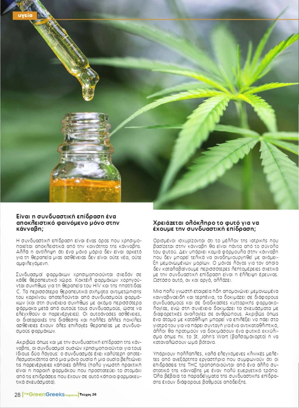 Η Συνδυαστική Επίδραση στην Κάνναβη