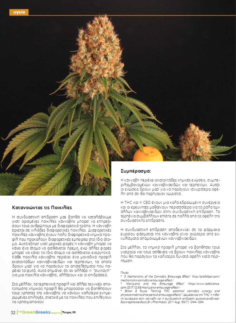 Η Συνδυαστική Επίδραση στην Κάνναβη