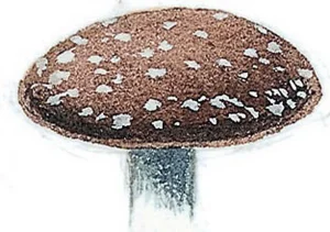 Collins Fungi Guide – The most complete field guide to the mushrooms & toadstools of Britain & Ireland (2012) [Ο οδηγός του Collins για τους μύκητες – Ο πιο πλήρης οδηγός πεδίου για τα μανιτάρια της Βρετανίας και της Ιρλανδίας]