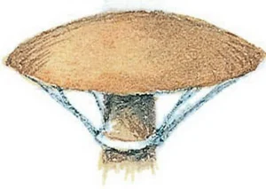 Collins Fungi Guide – The most complete field guide to the mushrooms & toadstools of Britain & Ireland (2012) [Ο οδηγός του Collins για τους μύκητες – Ο πιο πλήρης οδηγός πεδίου για τα μανιτάρια της Βρετανίας και της Ιρλανδίας]