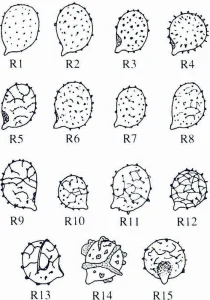 Collins Fungi Guide – The most complete field guide to the mushrooms & toadstools of Britain & Ireland (2012) [Ο οδηγός του Collins για τους μύκητες – Ο πιο πλήρης οδηγός πεδίου για τα μανιτάρια της Βρετανίας και της Ιρλανδίας]