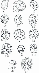Collins Fungi Guide – The most complete field guide to the mushrooms & toadstools of Britain & Ireland (2012) [Ο οδηγός του Collins για τους μύκητες – Ο πιο πλήρης οδηγός πεδίου για τα μανιτάρια της Βρετανίας και της Ιρλανδίας]