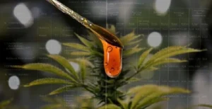 Η κανναβιδιβαρίνη (cannabidivarin, CBDV)