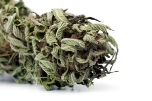 Η κανναβιδιβαρίνη (cannabidivarin, CBDV)