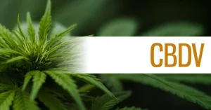 Η κανναβιδιβαρίνη (cannabidivarin, CBDV)
