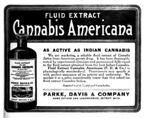 Migrating for Medical Marijuana (2019) [Μεταναστεύοντας για την απόκτηση πρόσβασης στην ιατρική χρήση της κάνναβης]