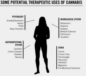 Migrating for Medical Marijuana (2019) [Μεταναστεύοντας για την απόκτηση πρόσβασης στην ιατρική χρήση της κάνναβης]