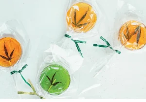 The Weed Gummies Cookbook (2022) [Το βιβλίο μαγειρικής για τα καραμελάκια κάνναβης]