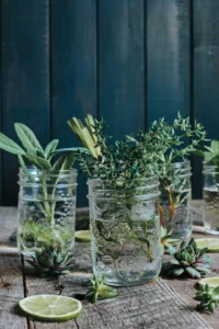 Essential Oils Handbook (2018) [Εγχειρίδιο αιθέριων ελαίων]