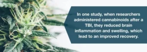 Η ιατρική χρήση της Κάνναβης και οι Μετατραυματικοί Πονοκέφαλοι Η ιατρική χρήση της Κάνναβης και οι Μετατραυματικοί Πονοκέφαλοι