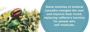 Η ιατρική χρήση της Κάνναβης και οι Πονοκέφαλοι Καφεΐνης