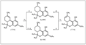 Εξαϋδροκανναβινόλη (HHC) και σχετικές ουσίες, ΤΕΧΝΙΚΗ ΑΝΑΦΟΡΑ, από το EMCDDA, 2023 Εξαϋδροκανναβινόλη (HHC) και σχετικές ουσίες, ΤΕΧΝΙΚΗ ΑΝΑΦΟΡΑ, από το EMCDDA, 2023